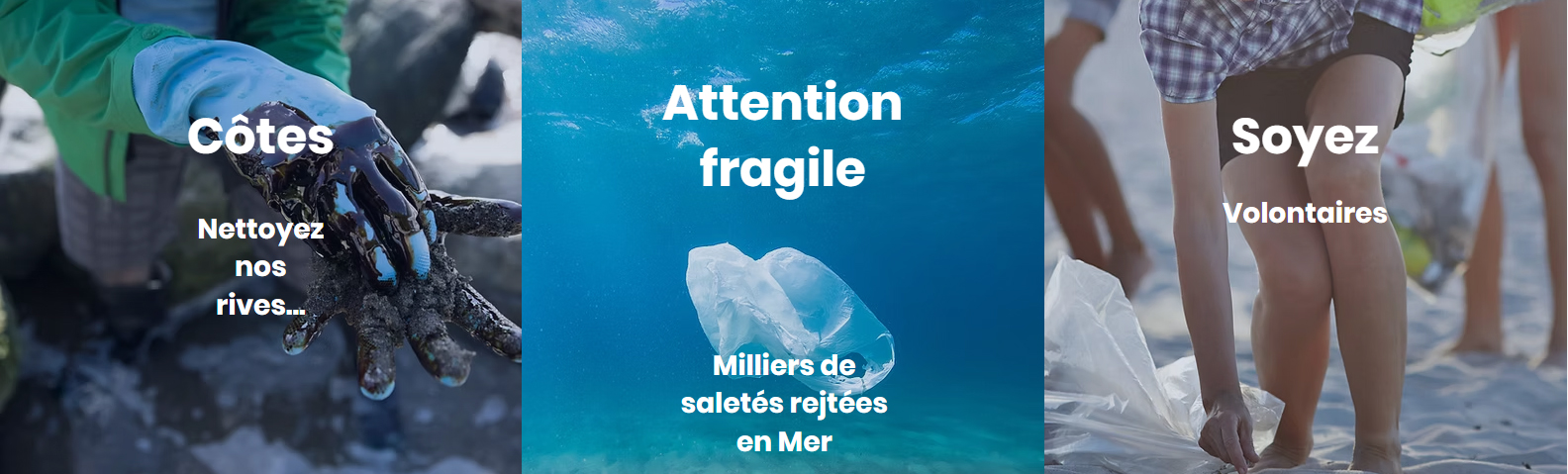 L'IFM-CM