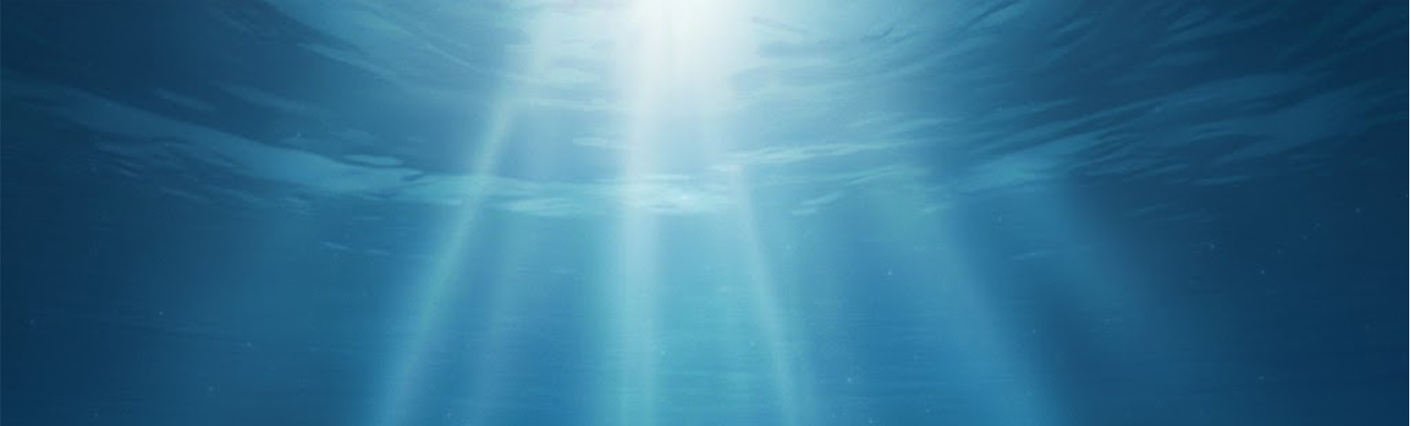 Un monde vivant et fragile